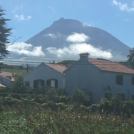 Home Pico - Casa Dos Cedros Criacao Velha 외부 사진