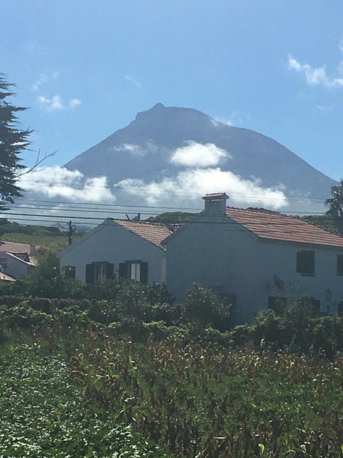 Home Pico - Casa Dos Cedros Criacao Velha 외부 사진